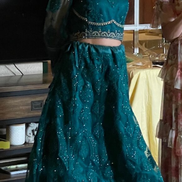 Alizeh Lehenga 1008-C - Picture 7 of 7